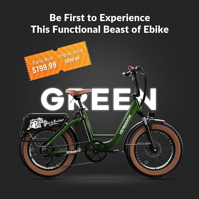 1500W Peak Motor Electric Bike for Adults Up to 80 Miles 30MPH Dirt Ebike 20" x 4 Fat Tire 48V 20Ah Removable Battery Mountain E Bike Commuter Full Suspension Bicycles for Men Women - The Vitality Estate
