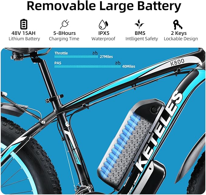 Electric Bike for Adults,26" x 4" Fat Tire Ebike,28MPH 1000W Motor Peak Power 2000W Electric Bicycles,48V 15AH Removable Battery,21 Speed Mountain Snow Beach E Bike - The Vitality Estate