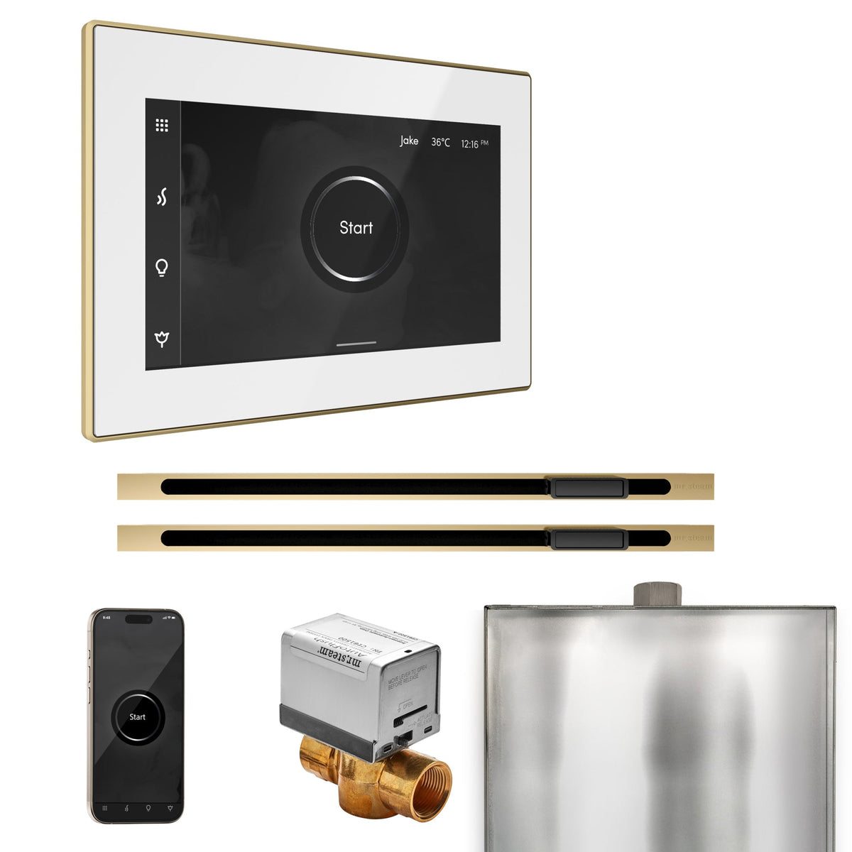 Mr. Steam XButler Max Steam Shower Control Package with iSteamX Control and Linear Steamhead - The Vitality Estate