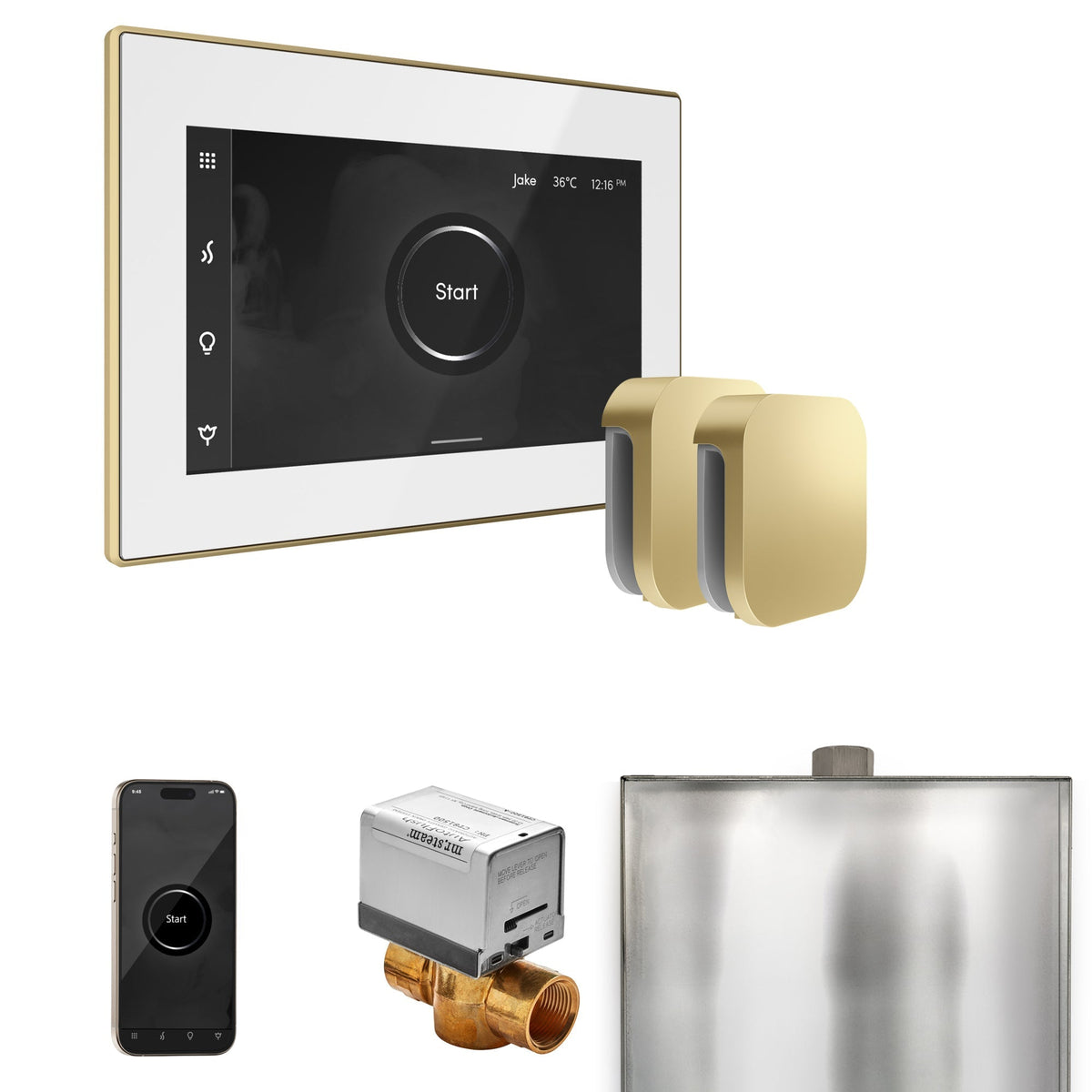 Mr. Steam XButler Max Steam Shower Control Package with iSteamX Control and Steamhead - The Vitality Estate
