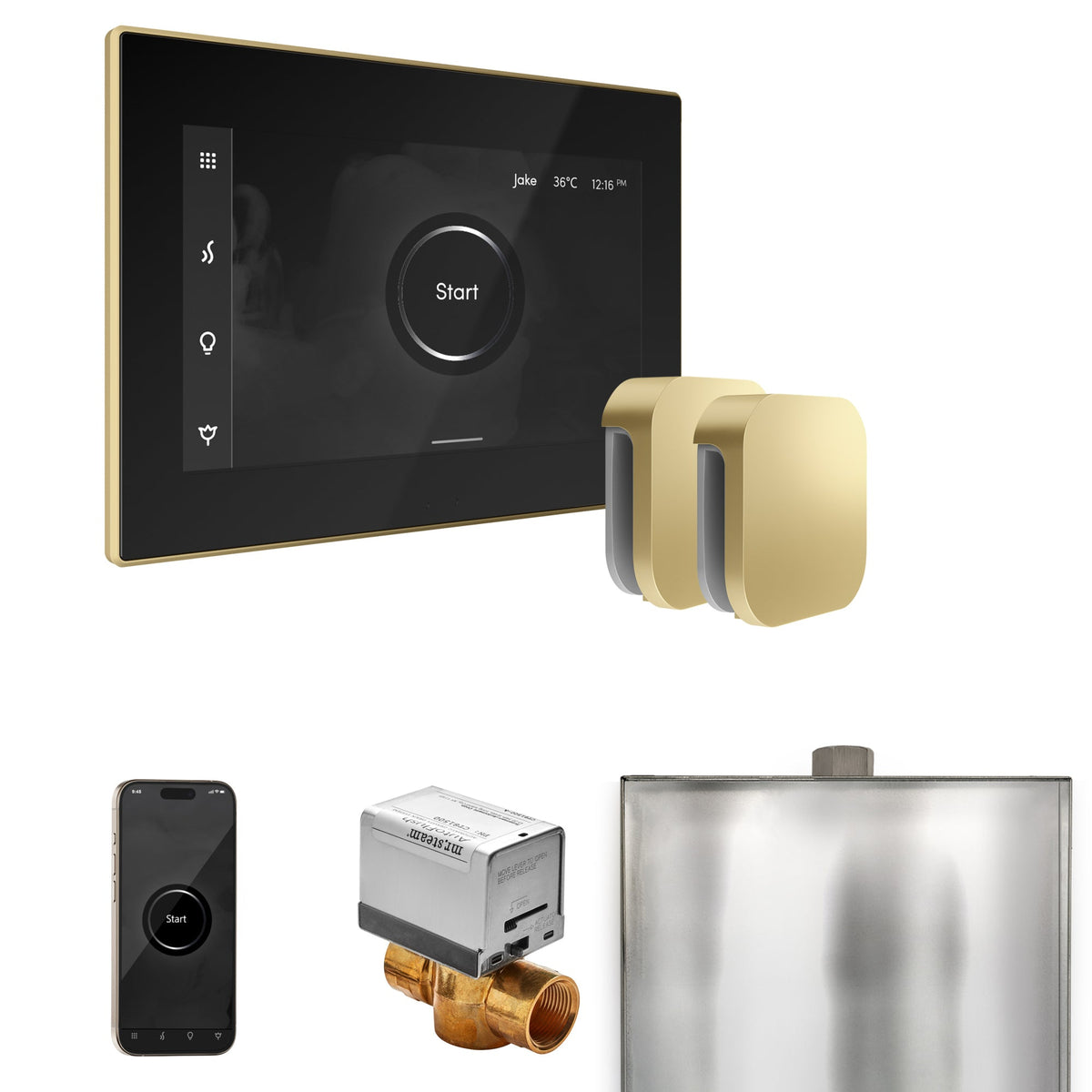 Mr. Steam XButler Max Steam Shower Control Package with iSteamX Control and Steamhead - The Vitality Estate