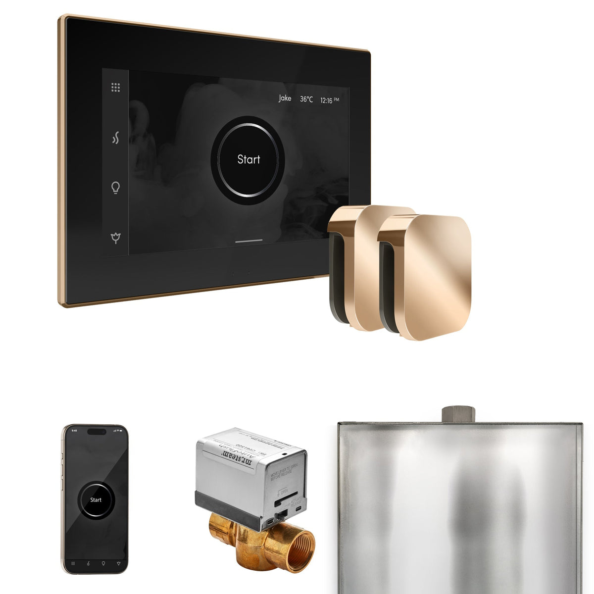 Mr. Steam XButler Max Steam Shower Control Package with iSteamX Control and Steamhead - The Vitality Estate