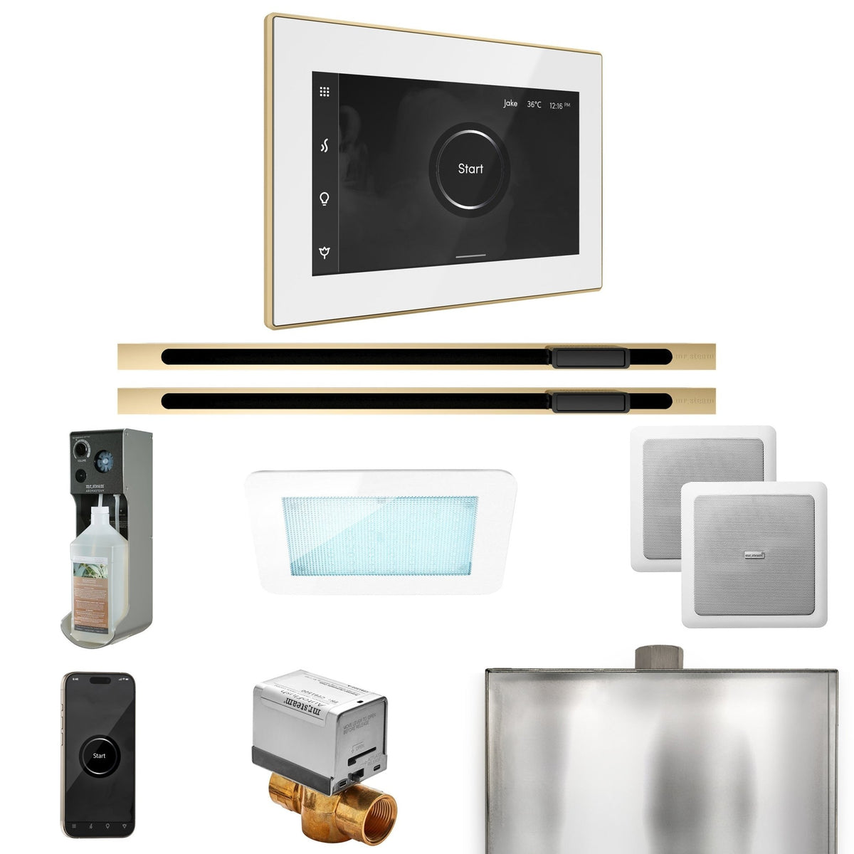 Mr. Steam XDream Max Steam Shower Control Package with iSteamX Control and Linear Steamhead - The Vitality Estate