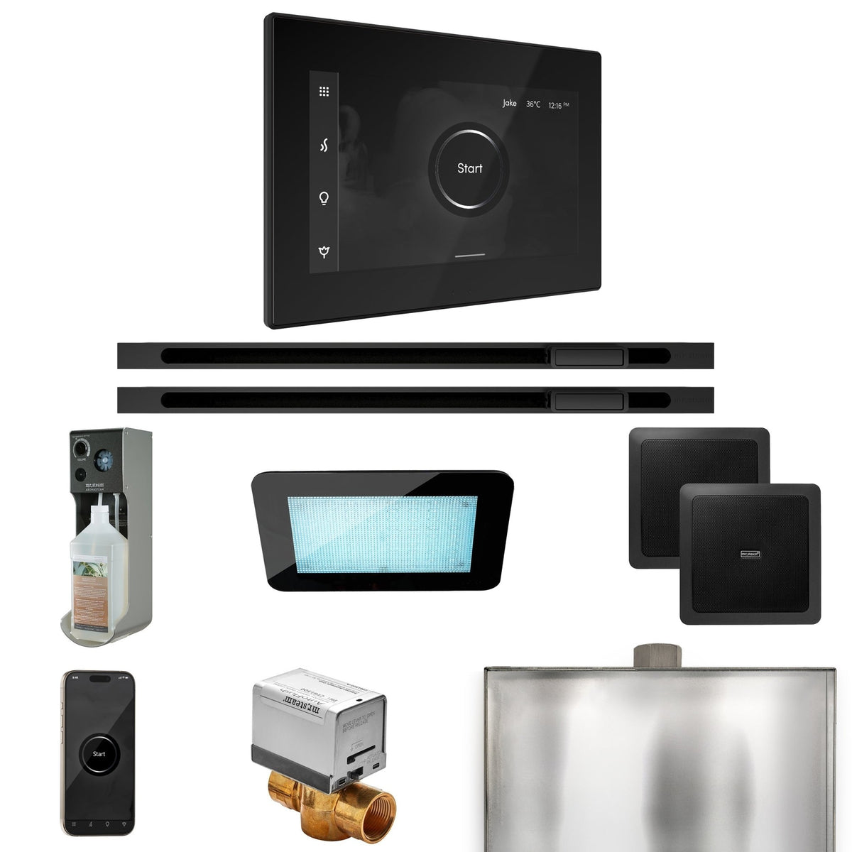 Mr. Steam XDream Max Steam Shower Control Package with iSteamX Control and Linear Steamhead - The Vitality Estate