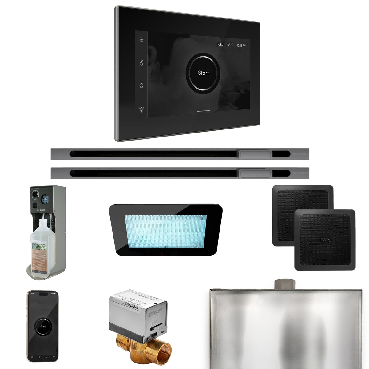 Mr. Steam XDream Max Steam Shower Control Package with iSteamX Control and Linear Steamhead - The Vitality Estate