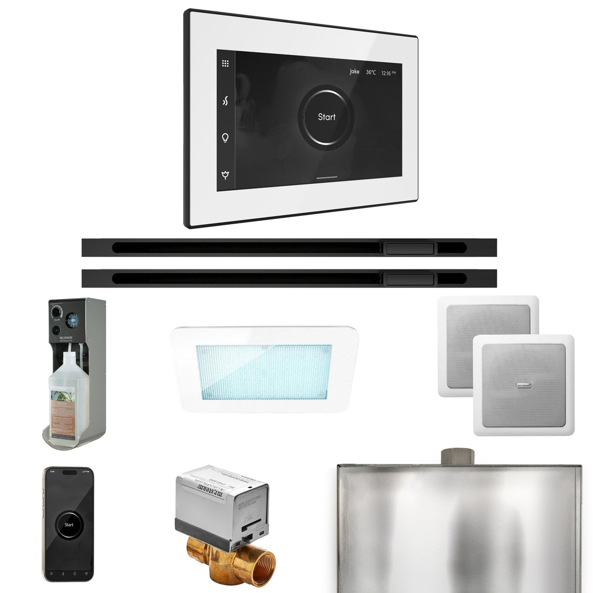 Mr. Steam XDream Max Steam Shower Control Package with iSteamX Control and Linear Steamhead - The Vitality Estate