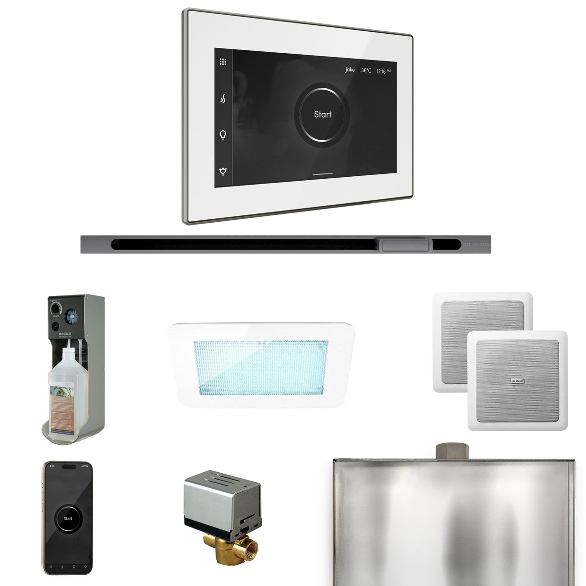Mr. Steam XDream Steam Shower Control Package with iSteamX Control and Linear Steamhead - The Vitality Estate