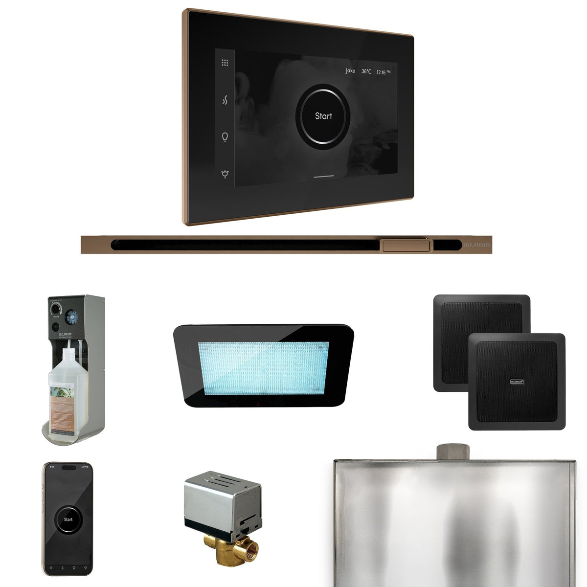 Mr. Steam XDream Steam Shower Control Package with iSteamX Control and Linear Steamhead - The Vitality Estate