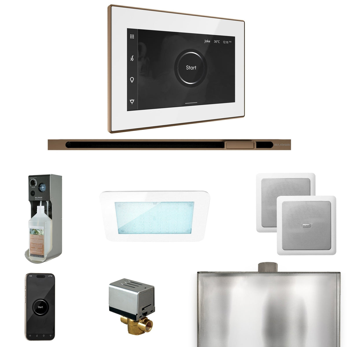 Mr. Steam XDream Steam Shower Control Package with iSteamX Control and Linear Steamhead - The Vitality Estate
