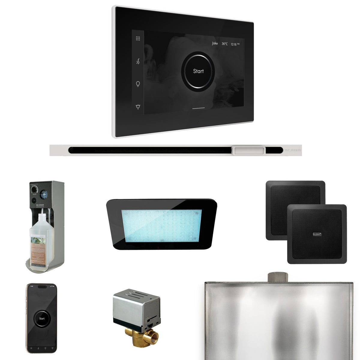 Mr. Steam XDream Steam Shower Control Package with iSteamX Control and Linear Steamhead - The Vitality Estate