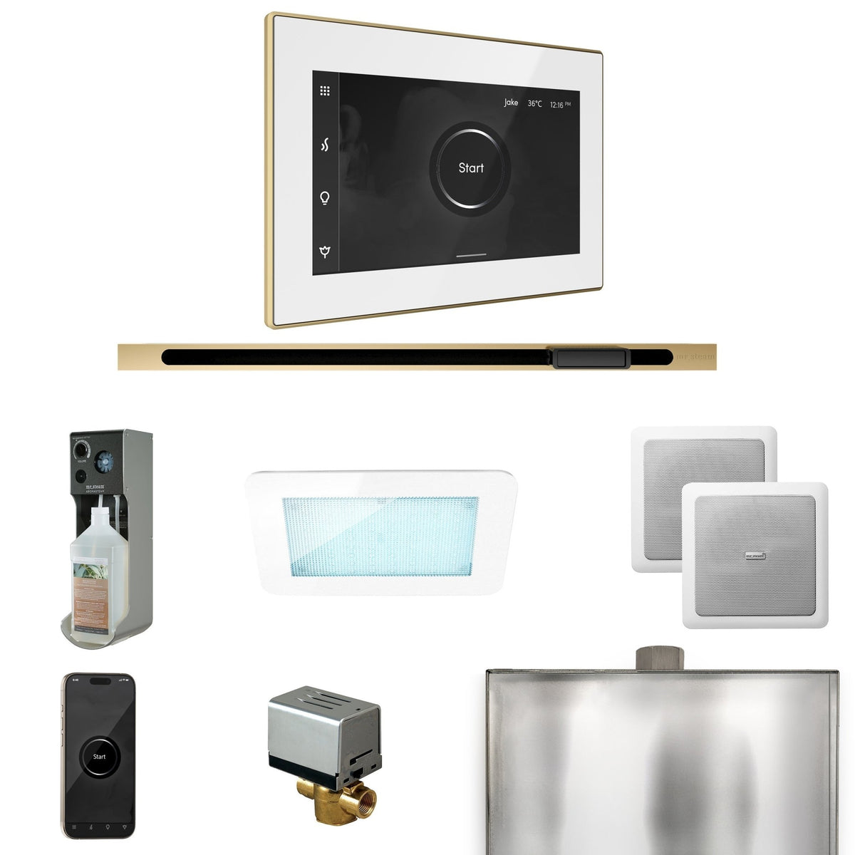 Mr. Steam XDream Steam Shower Control Package with iSteamX Control and Linear Steamhead - The Vitality Estate