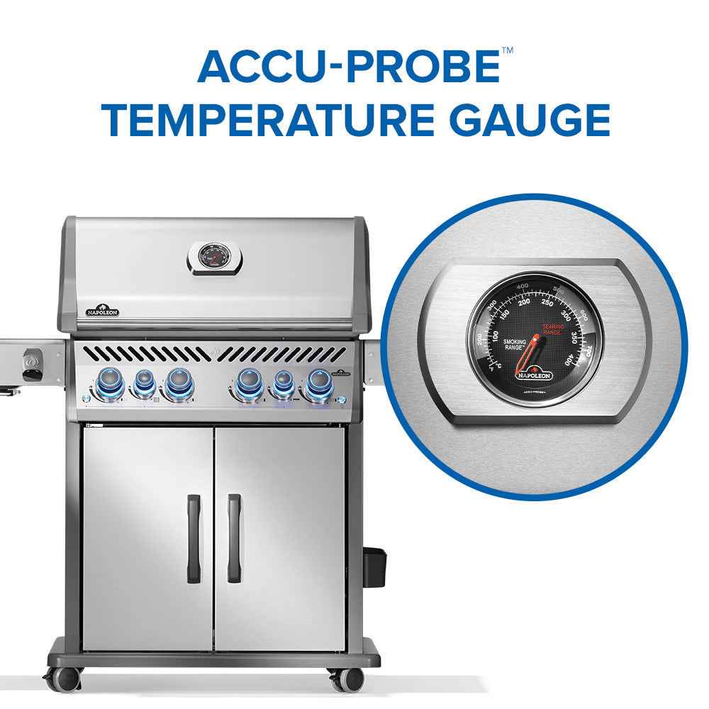 Patio Elegance Gas Grill Rogue PRO‑S 525 RSIB with Infrared Side and Rear Burners - The Vitality Estate