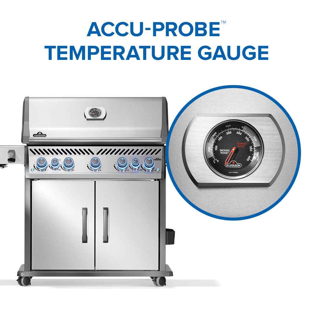 Patio Elegance Gas Grill Rogue PRO‑S 625 RSIB with Infrared Side and Rear Burners - The Vitality Estate