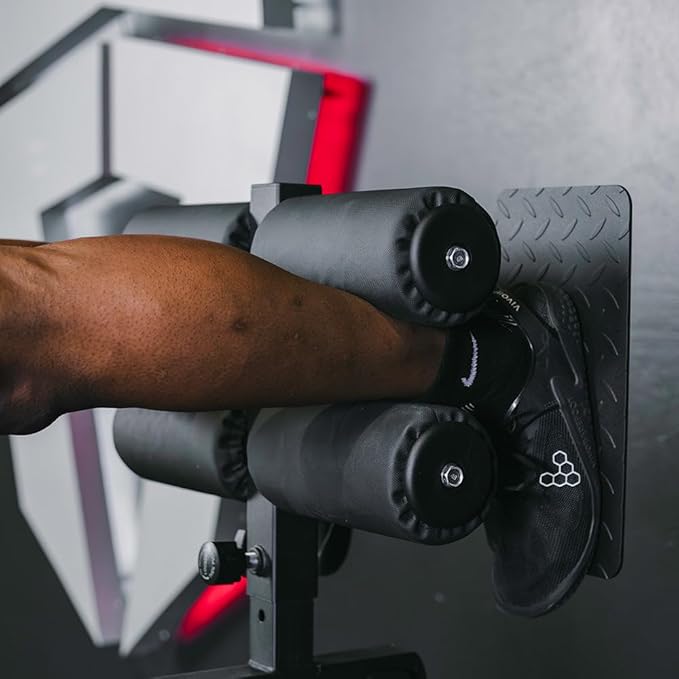 Titan Fitness Glute and Ham Developer, Adjustable GHD Machine, Comfortable Padding, Durable Steel Build, Workout Equipment for Commercial and Home Gym - The Vitality Estate
