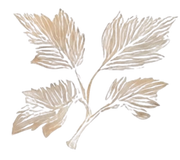 The Vitality Estate logo