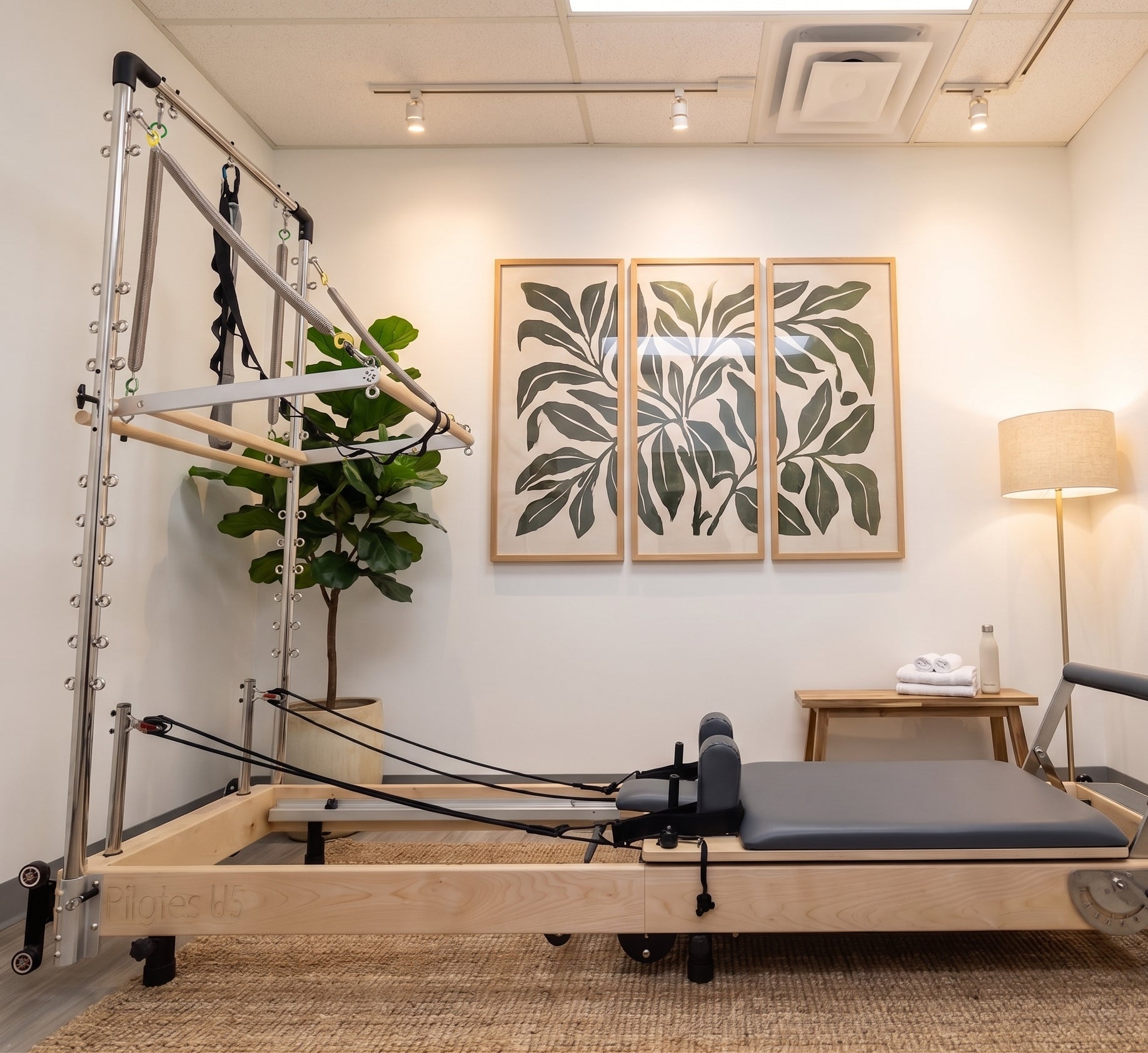Janet Elite Plus Foldable Pilates Reformer – Studio Grade Luxury Maple Wood Home Pilates Machine - RE016