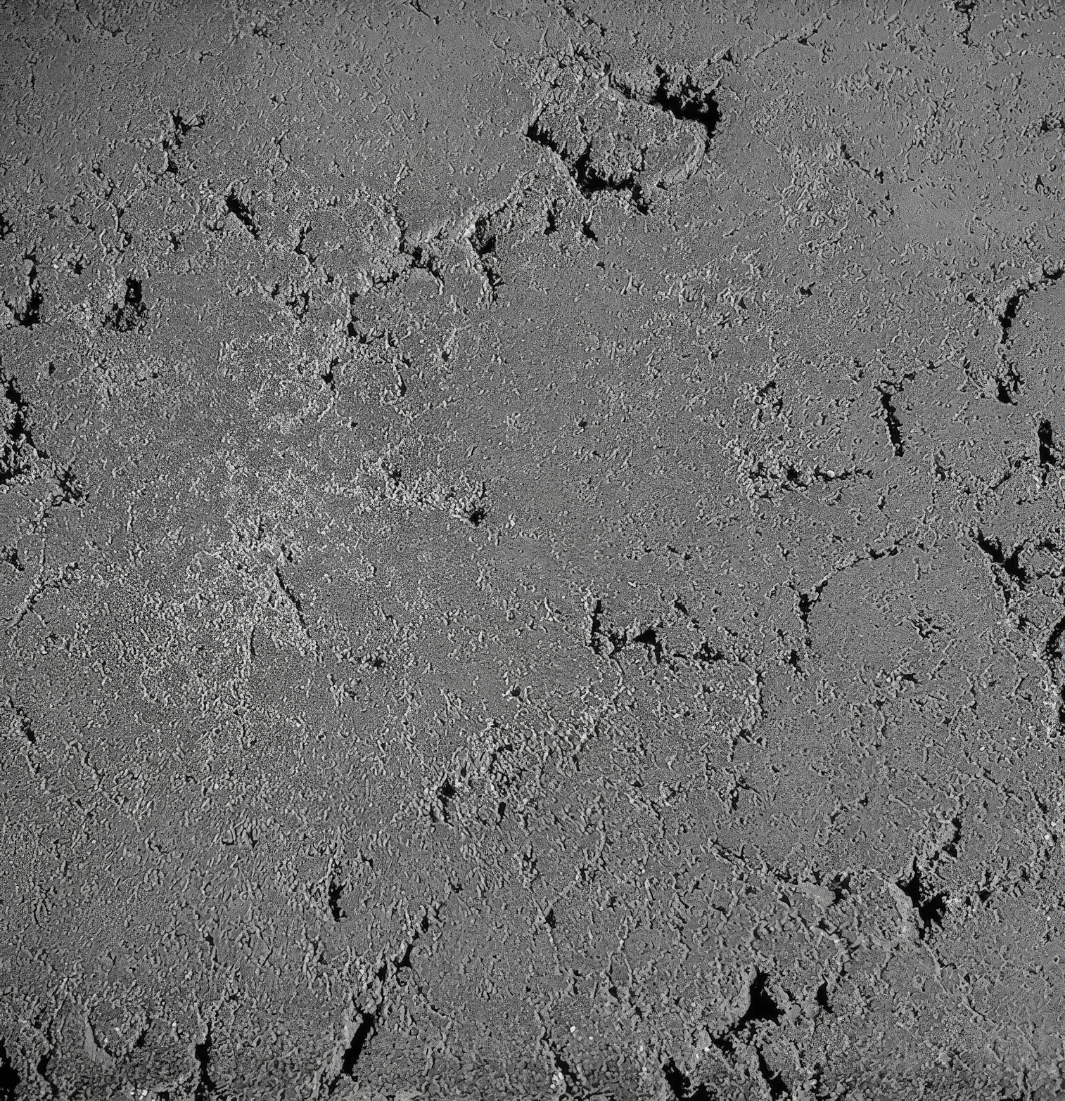 Conique | Concrete Fire Bowl - The Vitality Estate