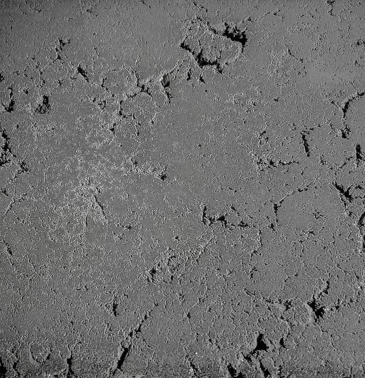 Conique | Concrete Fire Bowl - The Vitality Estate