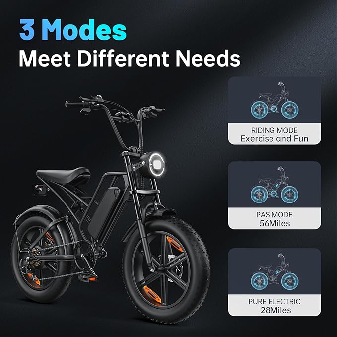 E500 Electric Bike for Adults 1000W Peak Motor, 20" Fat Tire Dirt E-Bike with 35MPH, 40 Miles PAS Range, Electric Bicycles with 48V Removable Battery, 7-Speed E Bike for Mountain Beach Sand Road Snow - The Vitality Estate