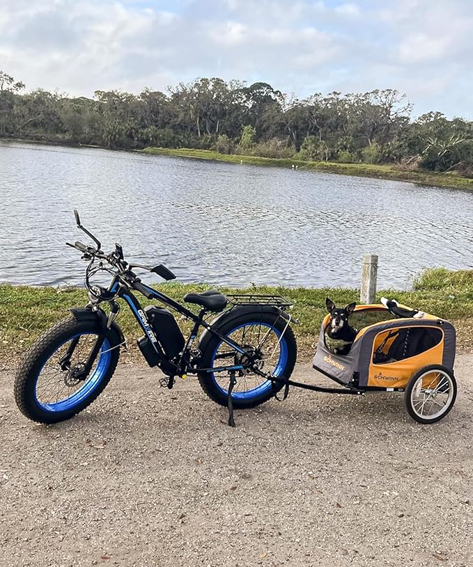Ebike for Adults Electric, 52V 19.2Ah/32Ah, Peak 2000W/2500W E-Bike, 36/40MPH, 70 Miles/100Miles Long Range, Hydraulic Disc Brake, Off Road Snow Mountain E-Bike, 24"/26" Fat Tire Fast Electric Bicycle - The Vitality Estate
