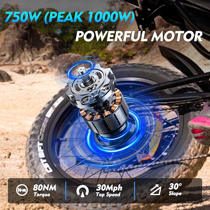 Electric Bike for Adults, Powerful 750W/ 1000W Peak Motor,Up to 25/30MPH, Max 25-45 Miles Long Range, 748.8/624 Wh Removable Battery,Ebike for Mountain,Snow,Sand,Road,Commuter - The Vitality Estate