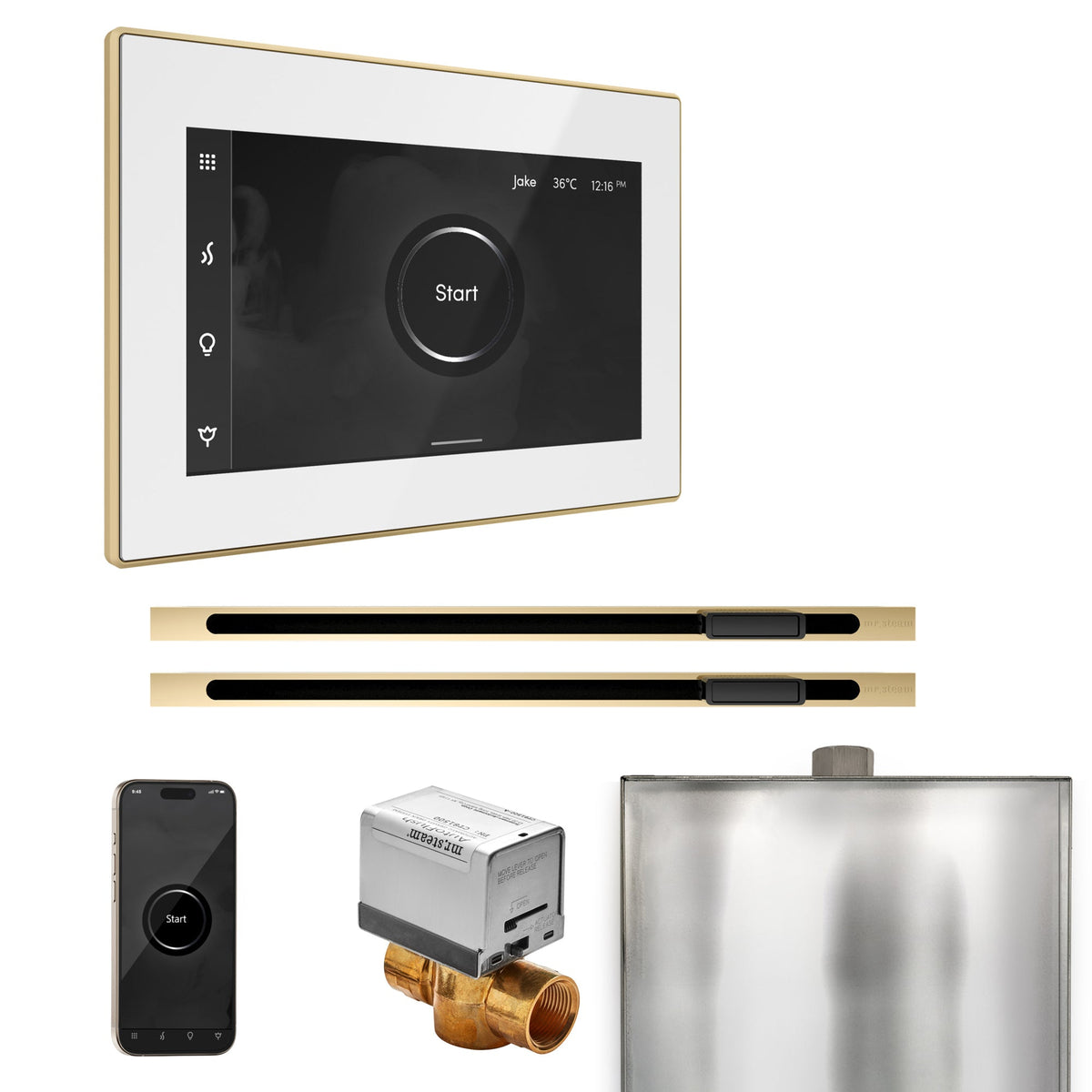 Mr. Steam XButler Max Steam Shower Control Package with iSteamX Control and Linear Steamhead - The Vitality Estate