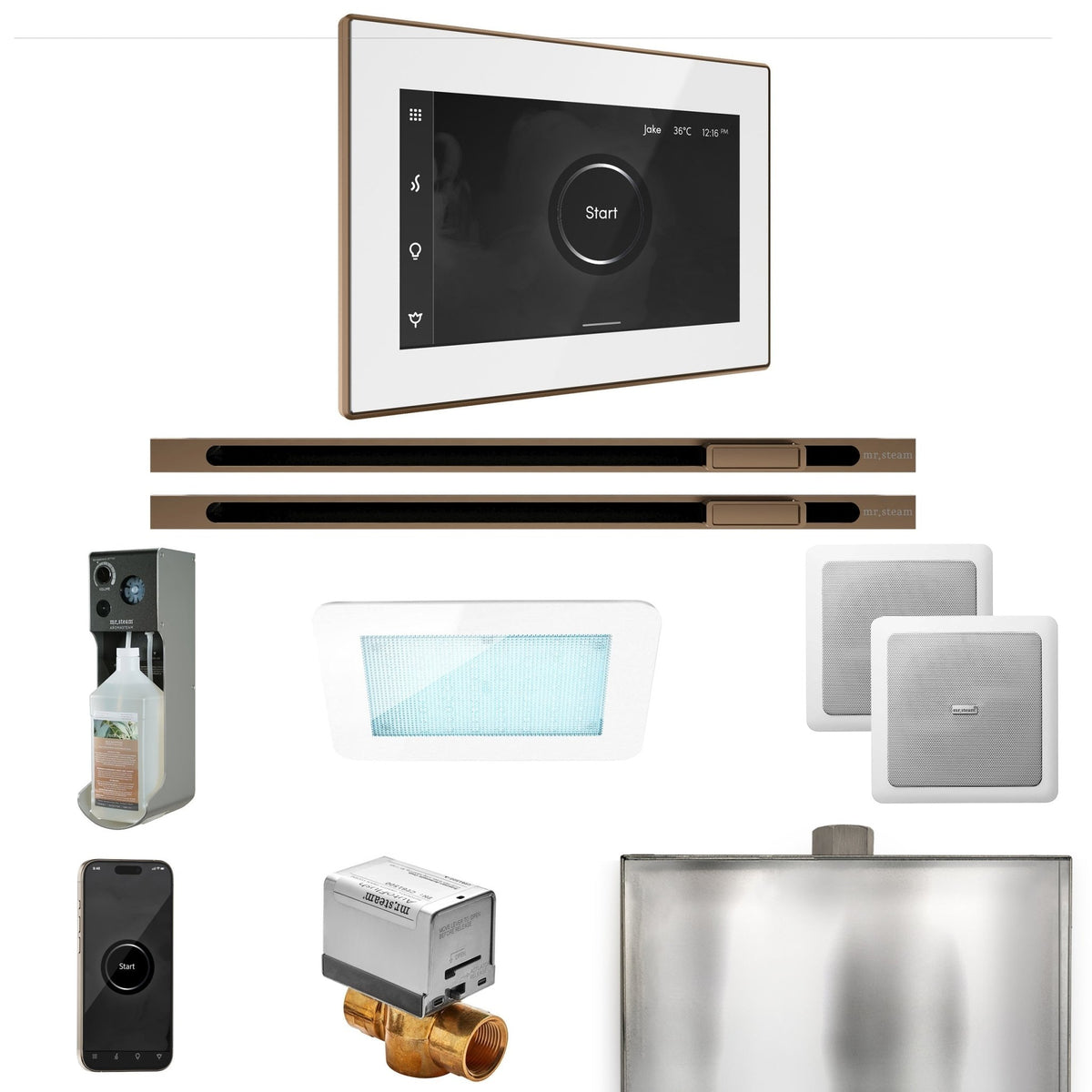 Mr. Steam XDream Max Steam Shower Control Package with iSteamX Control and Linear Steamhead - The Vitality Estate