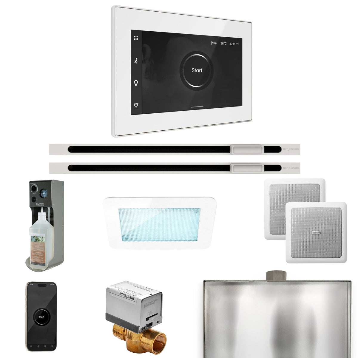 Mr. Steam XDream Max Steam Shower Control Package with iSteamX Control and Linear Steamhead - The Vitality Estate