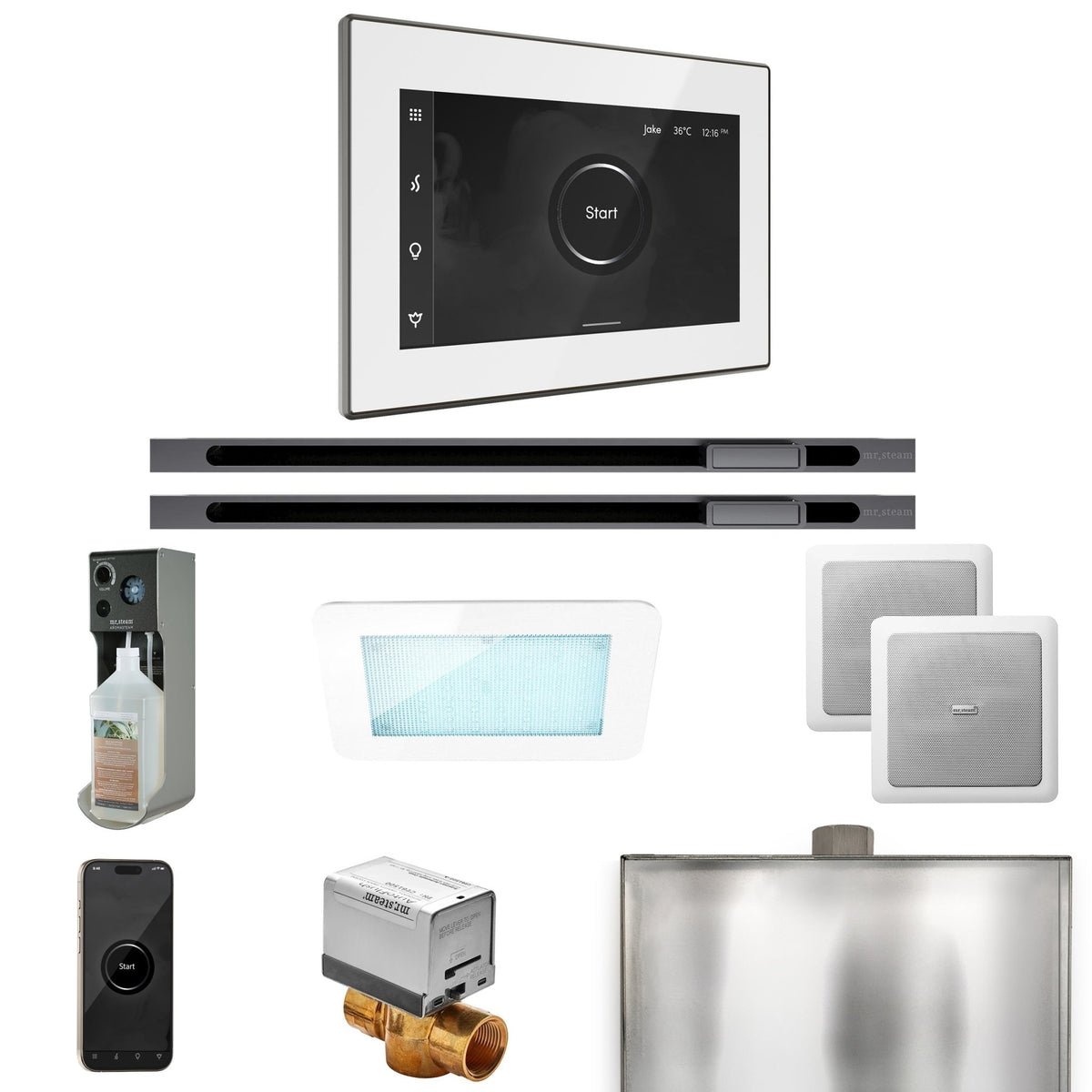 Mr. Steam XDream Max Steam Shower Control Package with iSteamX Control and Linear Steamhead - The Vitality Estate