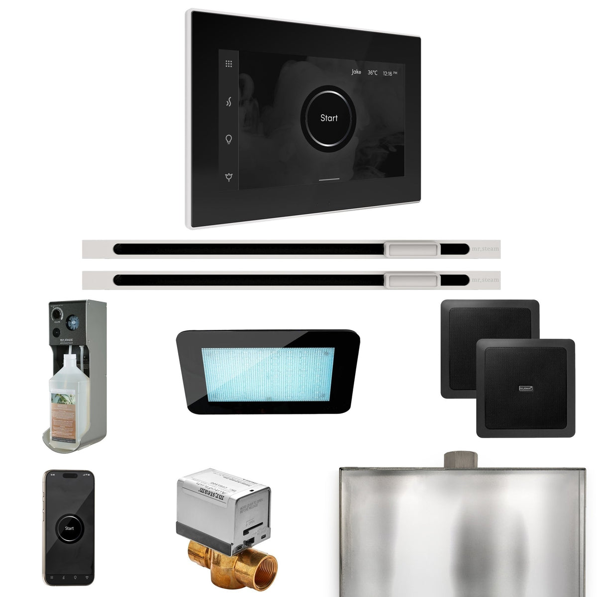 Mr. Steam XDream Max Steam Shower Control Package with iSteamX Control and Linear Steamhead - The Vitality Estate