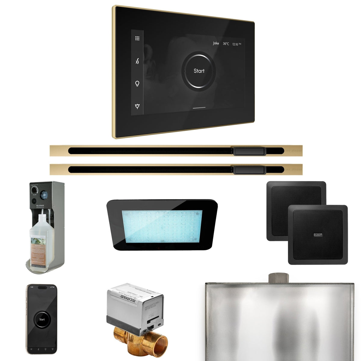 Mr. Steam XDream Max Steam Shower Control Package with iSteamX Control and Linear Steamhead - The Vitality Estate
