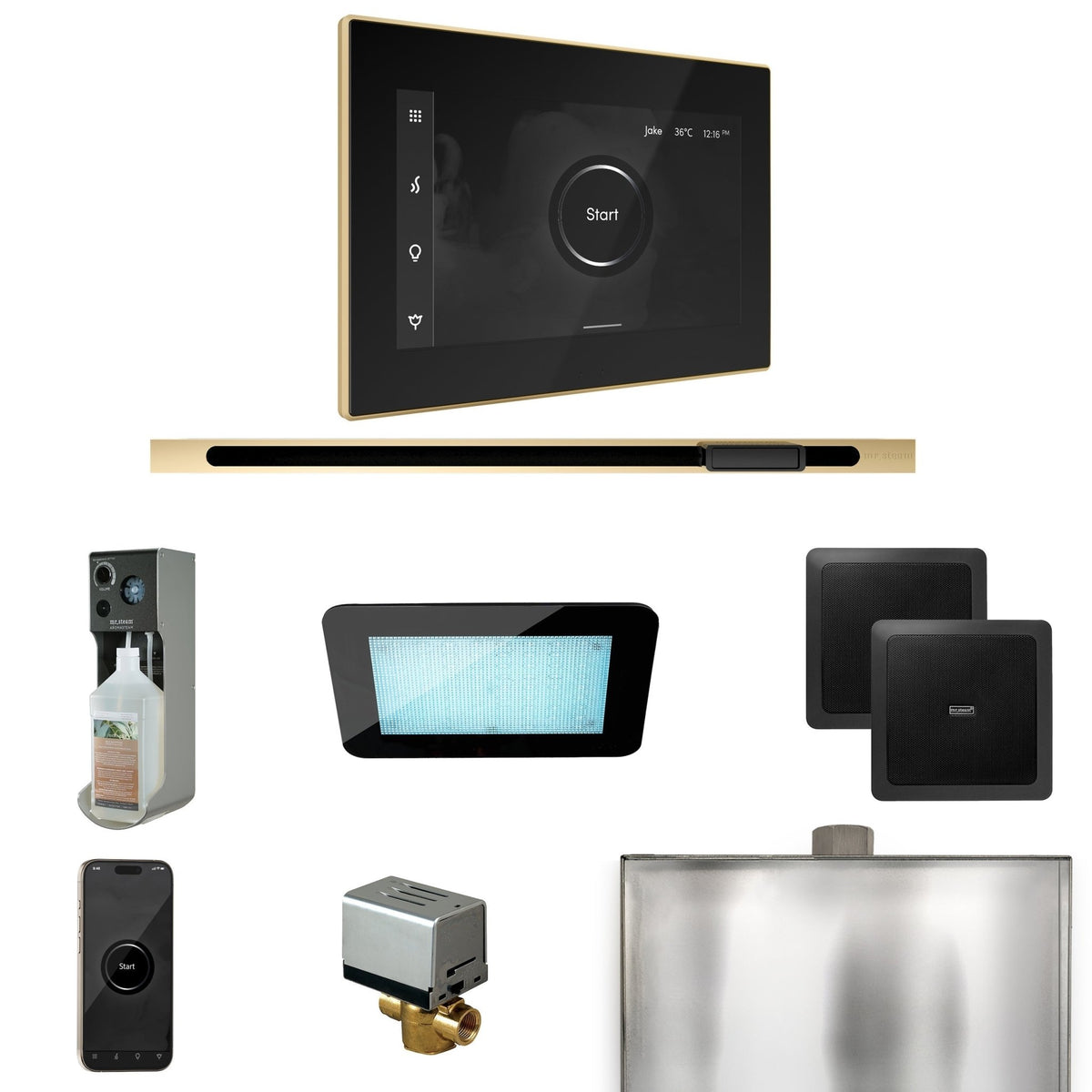 Mr. Steam XDream Steam Shower Control Package with iSteamX Control and Linear Steamhead - The Vitality Estate