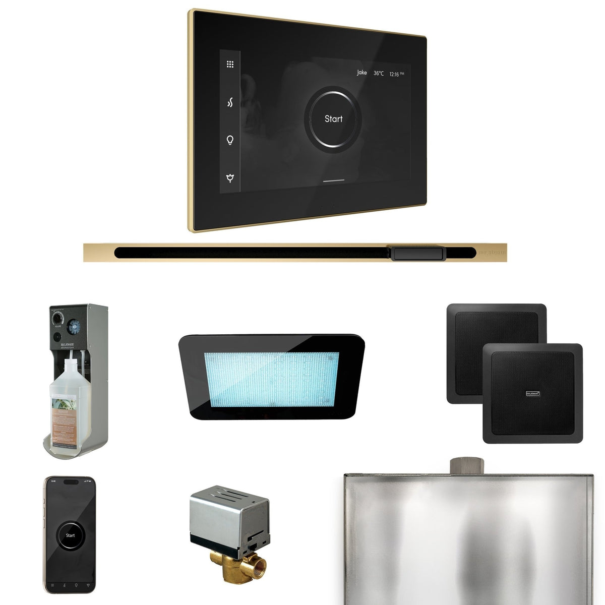 Mr. Steam XDream Steam Shower Control Package with iSteamX Control and Linear Steamhead - The Vitality Estate