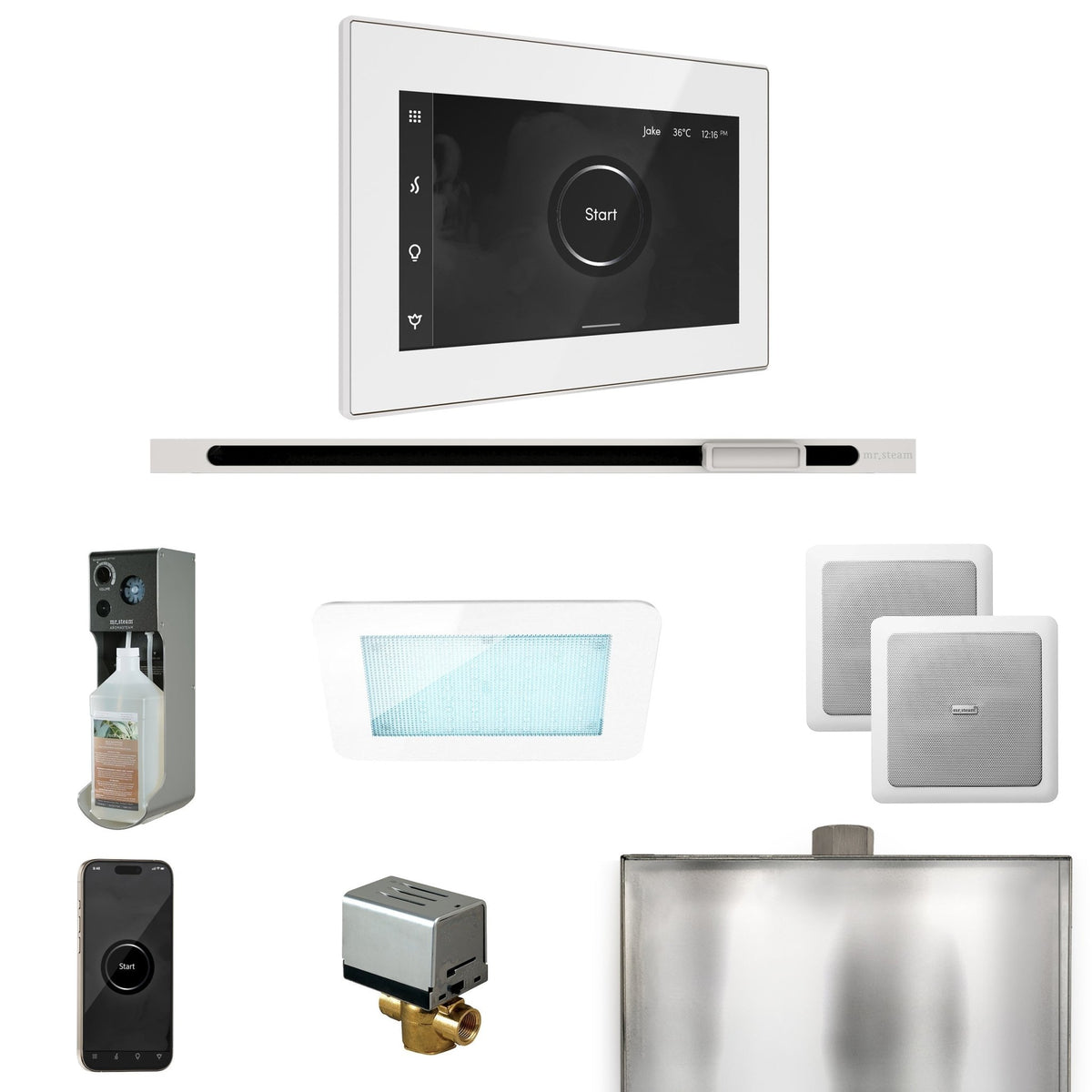Mr. Steam XDream Steam Shower Control Package with iSteamX Control and Linear Steamhead - The Vitality Estate