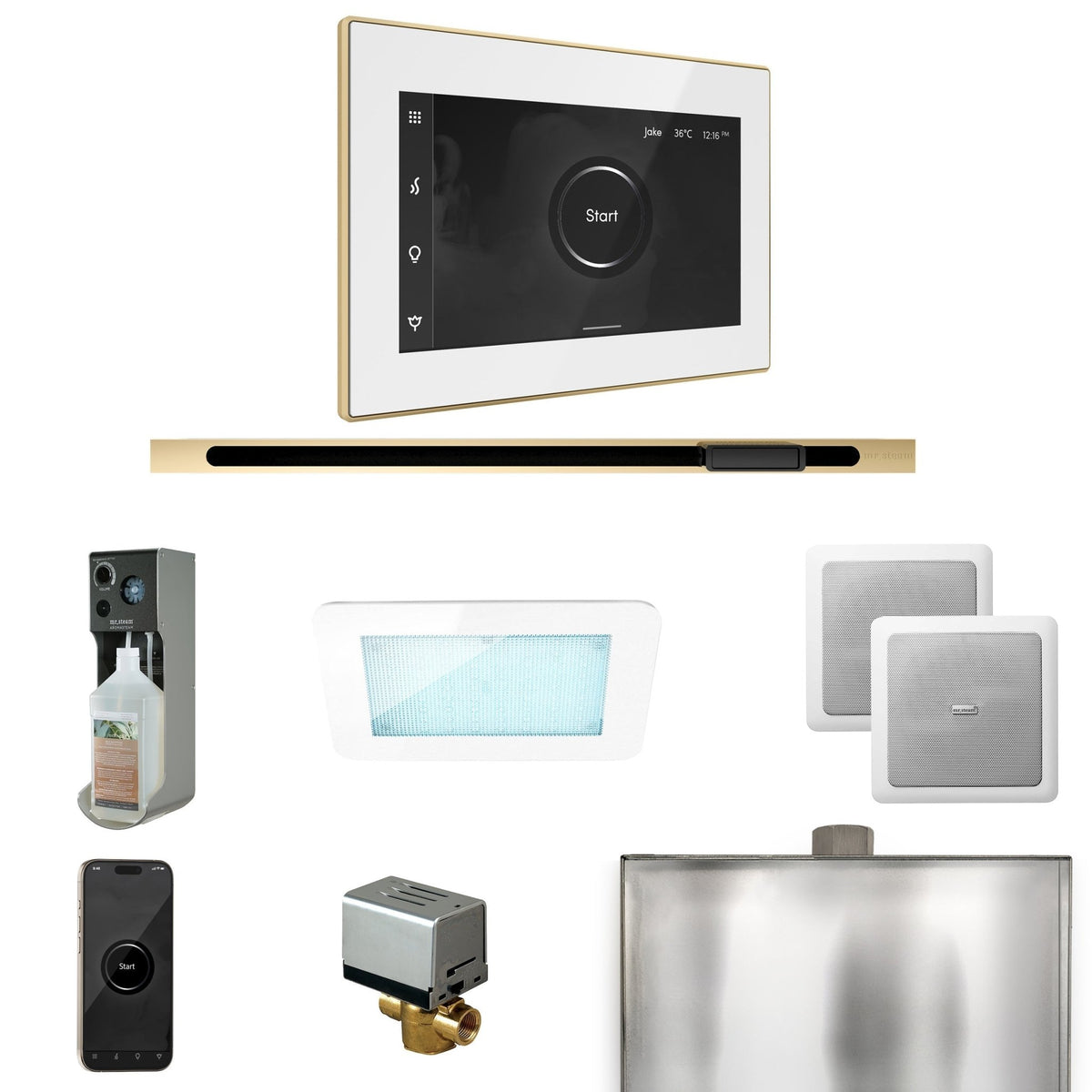 Mr. Steam XDream Steam Shower Control Package with iSteamX Control and Linear Steamhead - The Vitality Estate