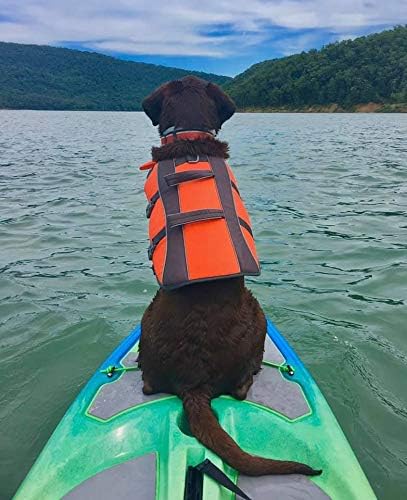 Perception Hi Life 11 | Sit on Top Kayak for Adults | Hybrid SUP Stand up Paddle Board Kayak | 11' - The Vitality Estate