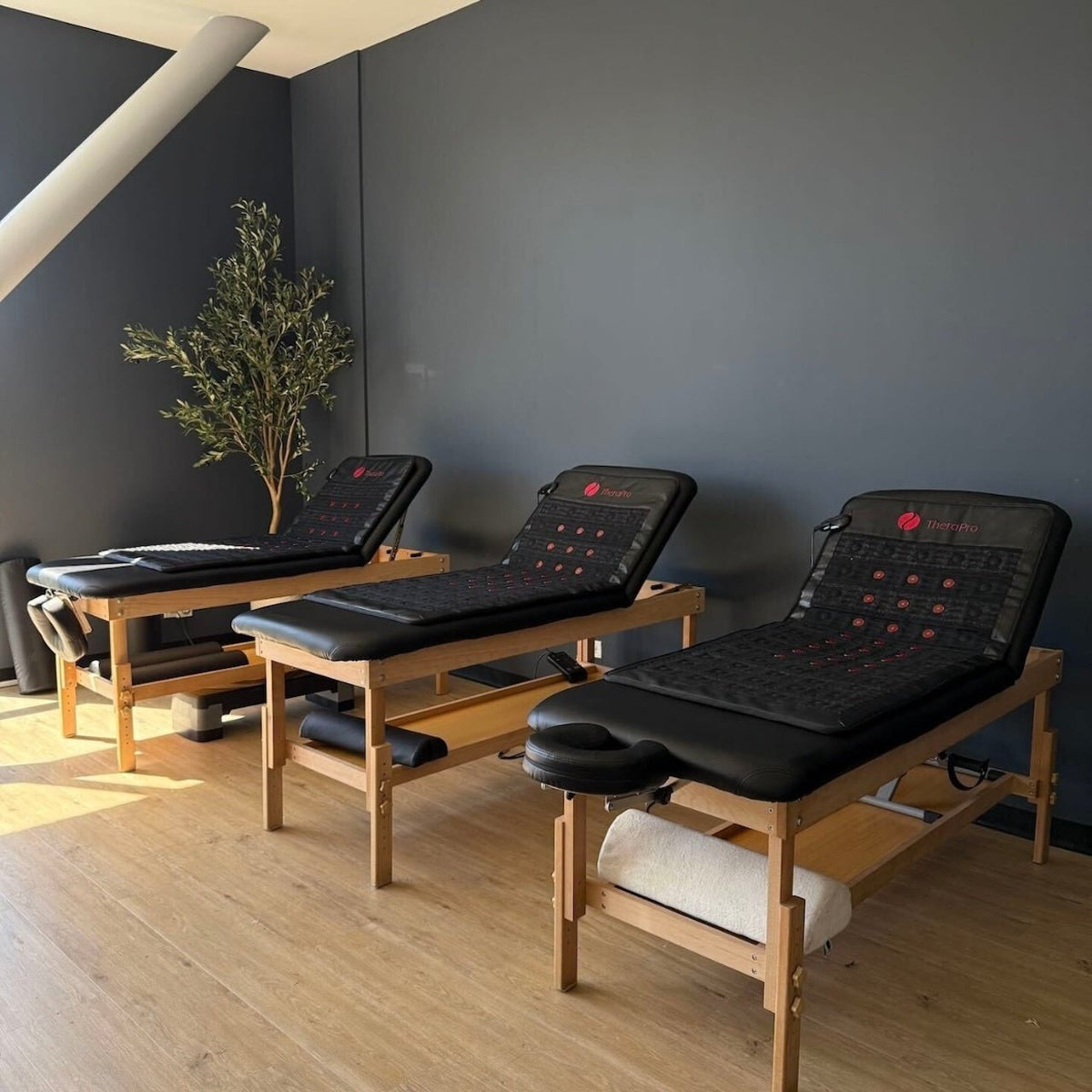 TheraPro™ Multi-Modality Pad - Large - The Vitality Estate